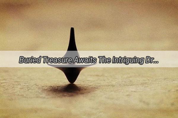 Buried Treasure Awaits The Intriguing Dream of Plentiful Coins in the Ground